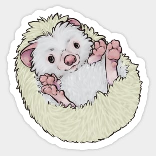 Baby Hedgehog - Leucistic Snowflake Variant Sticker